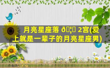 月亮星座落 🦋 2宫(爱上就是一辈子的月亮星座男)